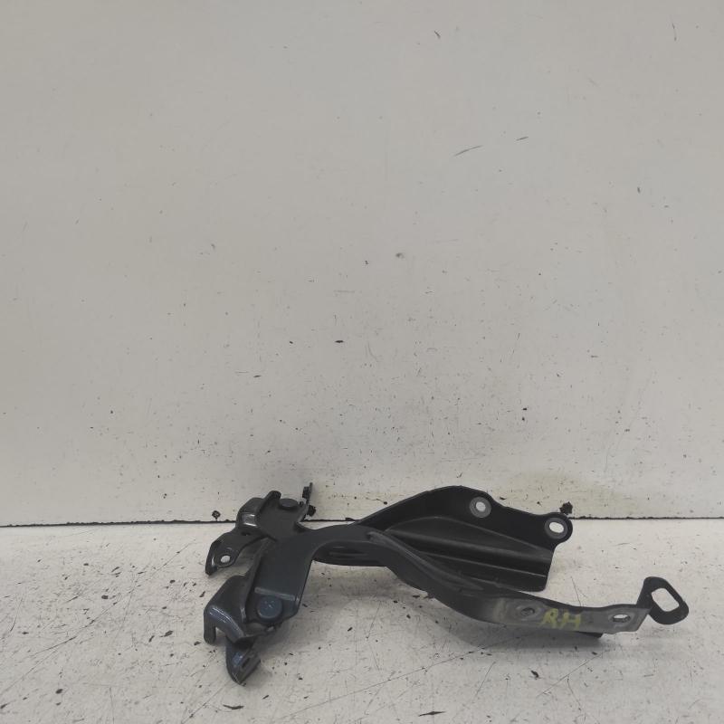 bonnet hinge/strut
