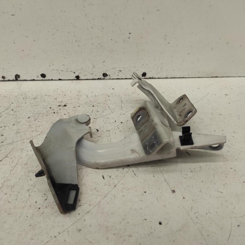 bonnet hinge/strut