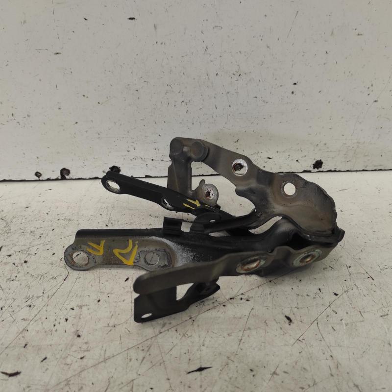 bonnet hinge/strut