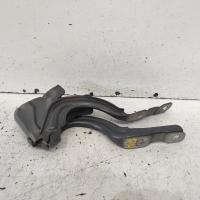 bonnet hinge/strut