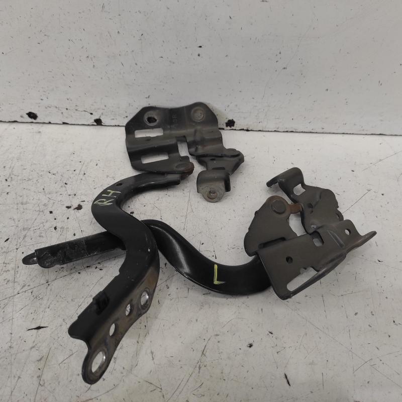 bonnet hinge/strut