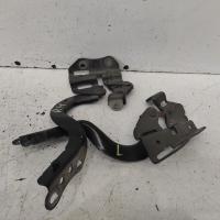 bonnet hinge/strut