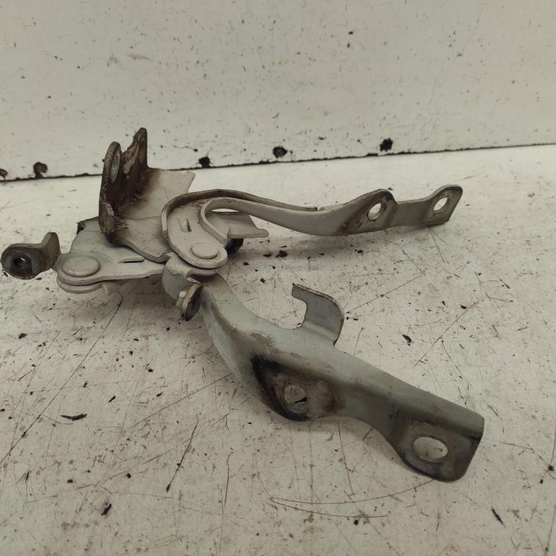 bonnet hinge/strut