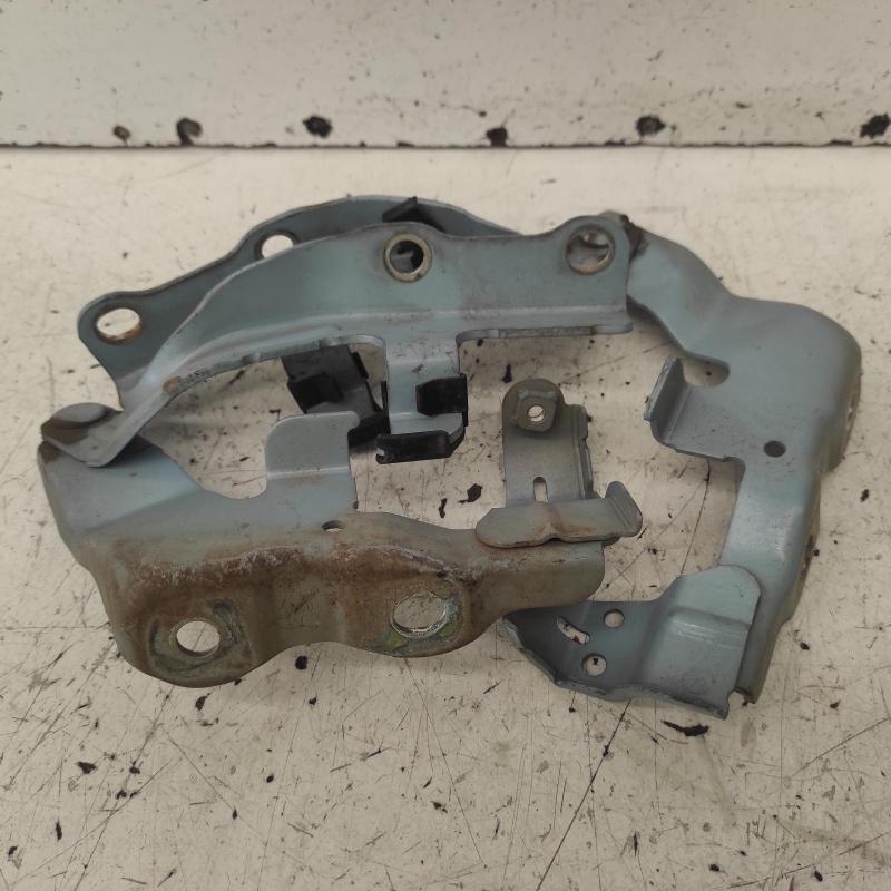 bonnet hinge/strut