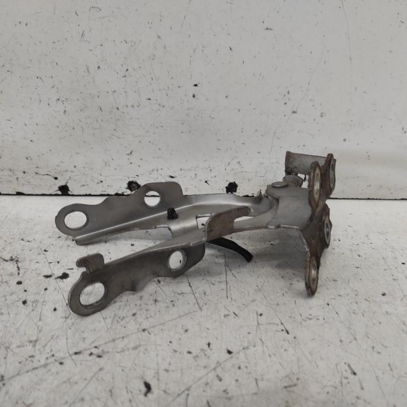 bonnet hinge/strut