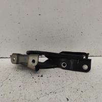 bonnet hinge/strut