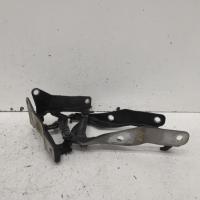 bonnet hinge/strut