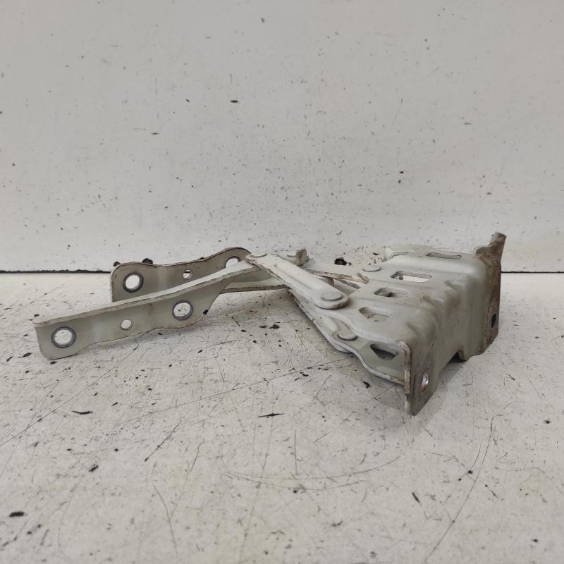 bonnet hinge/strut
