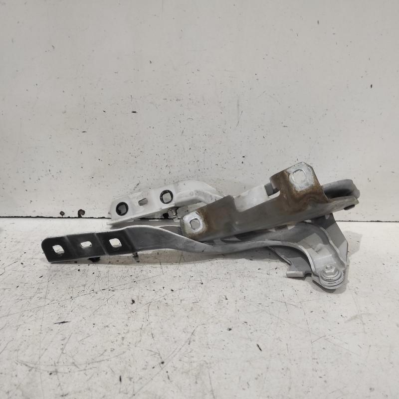 bonnet hinge/strut