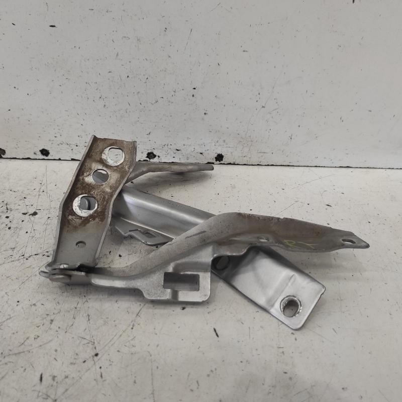 bonnet hinge/strut