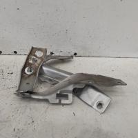 bonnet hinge/strut
