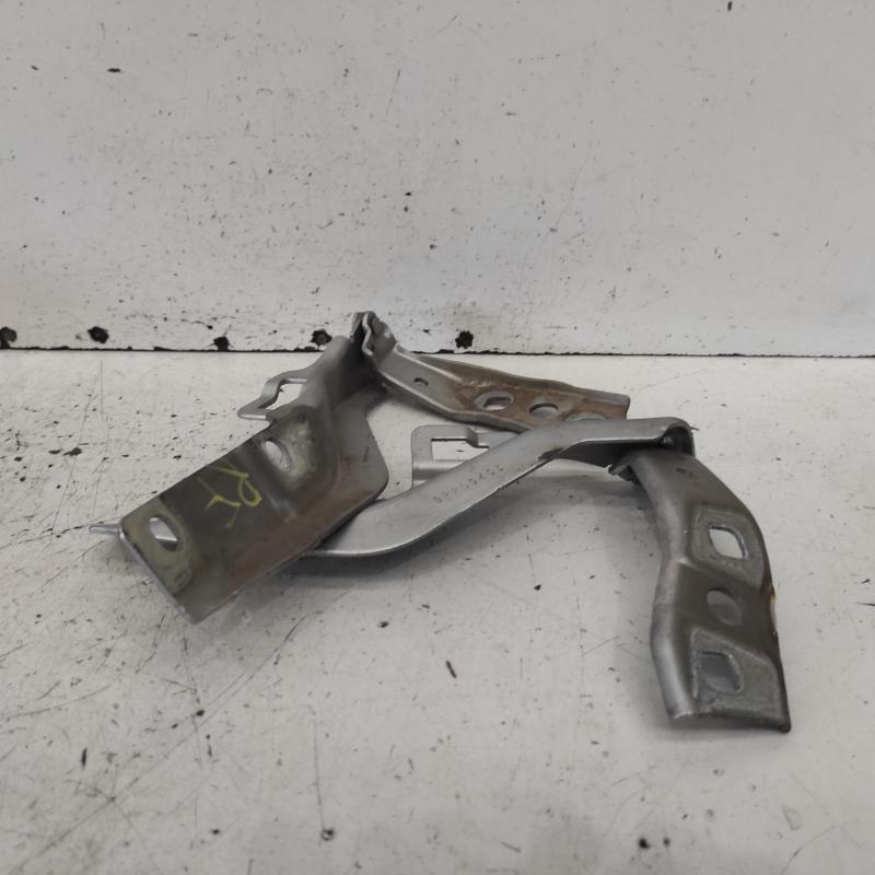 bonnet hinge/strut