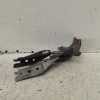 bonnet hinge/strut