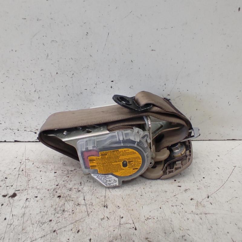 tallo del cinturón de seguridad