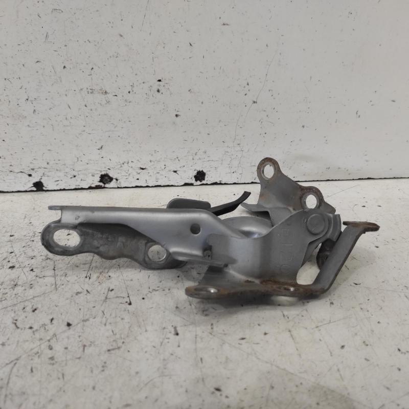 bonnet hinge/strut