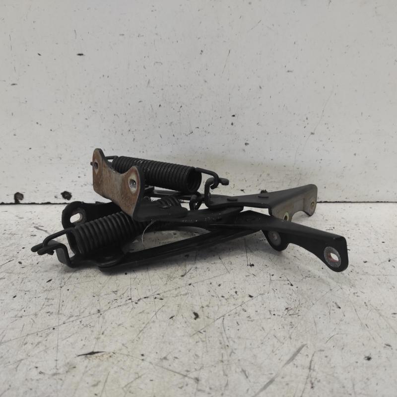 bonnet hinge/strut