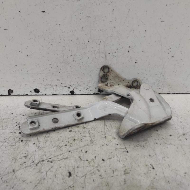 bonnet hinge/strut