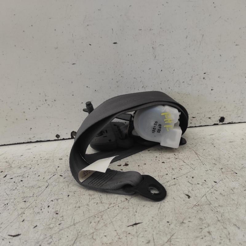 tallo del cinturón de seguridad