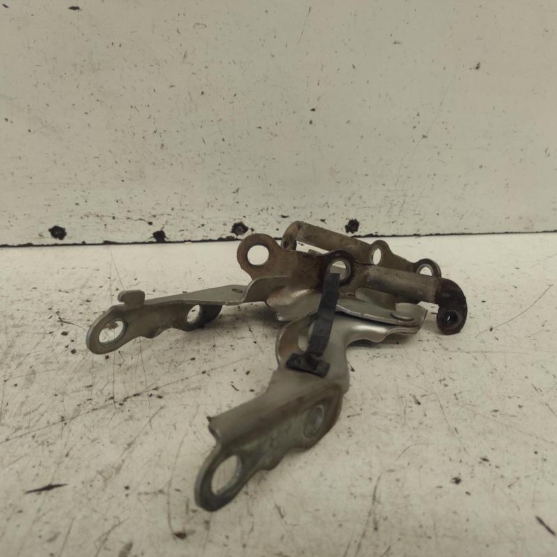 bonnet hinge/strut