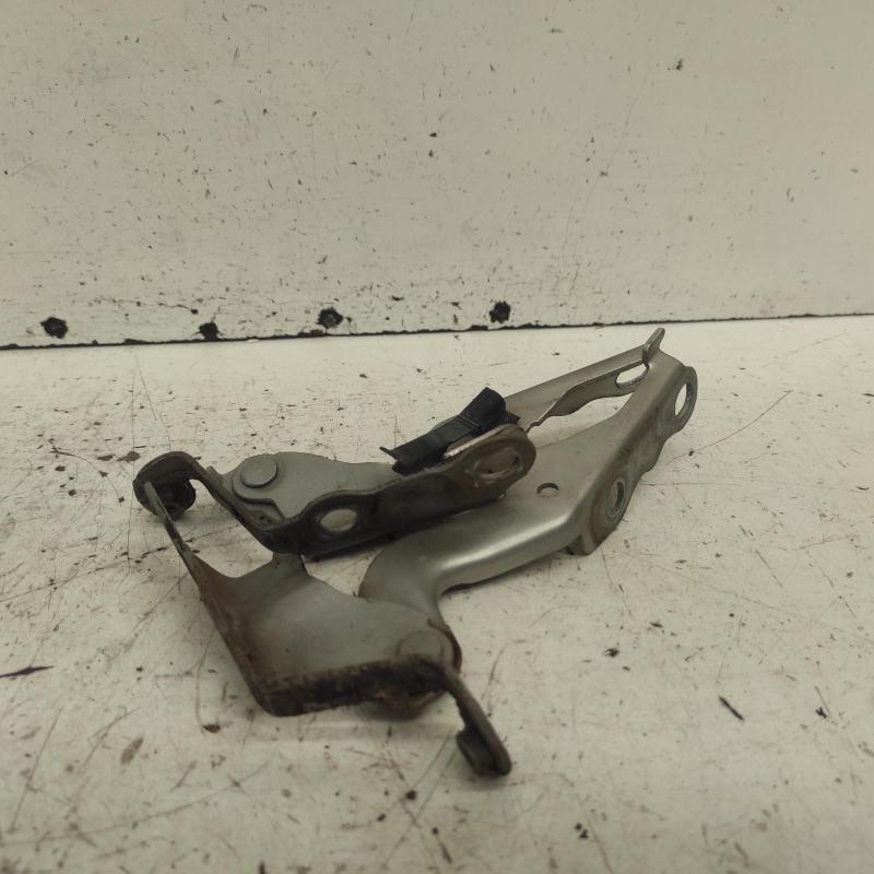 bonnet hinge/strut
