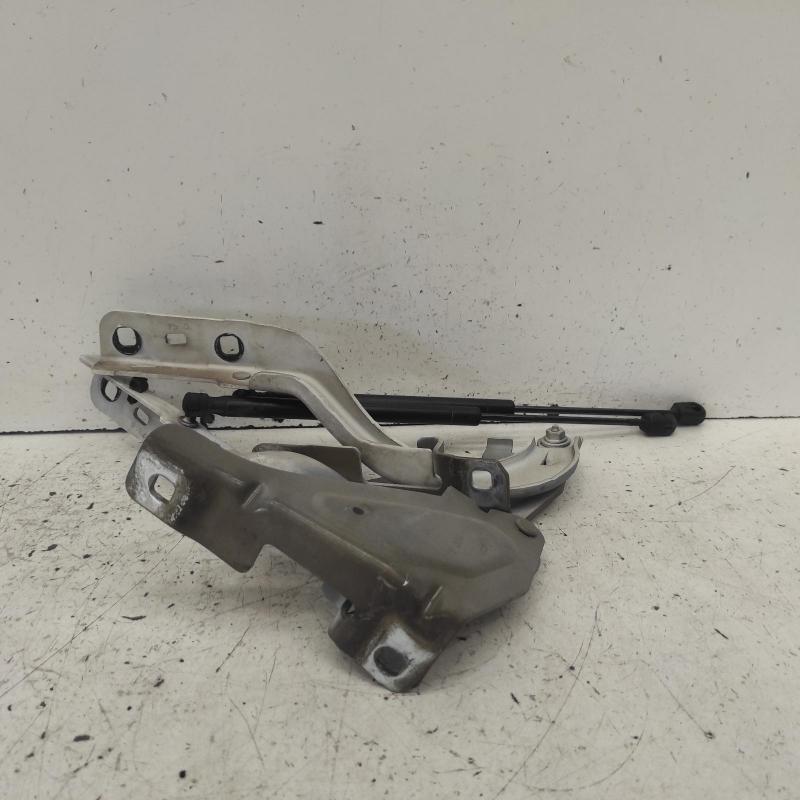 bonnet hinge/strut