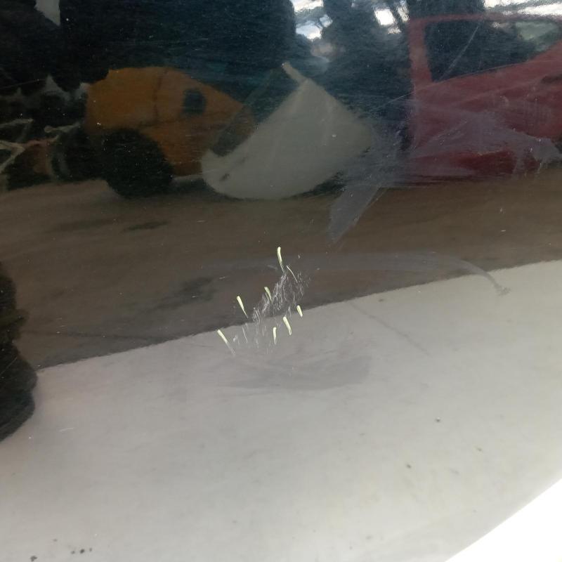 door/sliding rear left