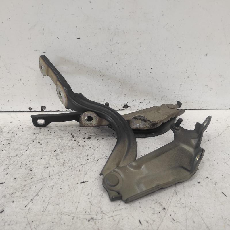 bonnet hinge/strut