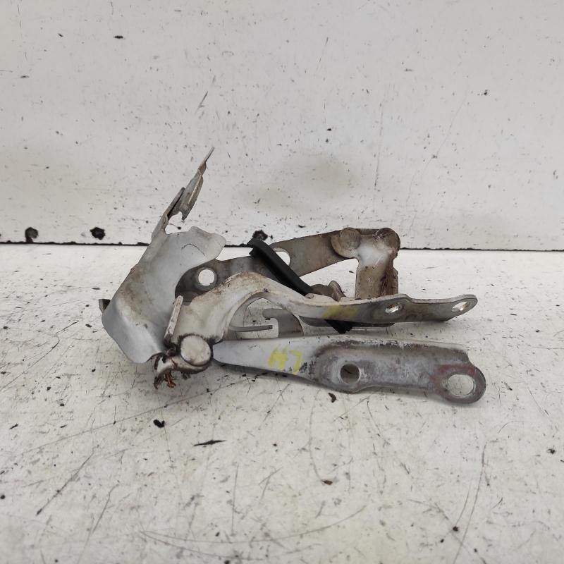 bonnet hinge/strut