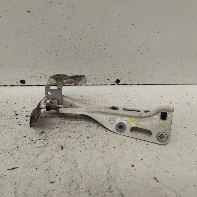 bonnet hinge/strut