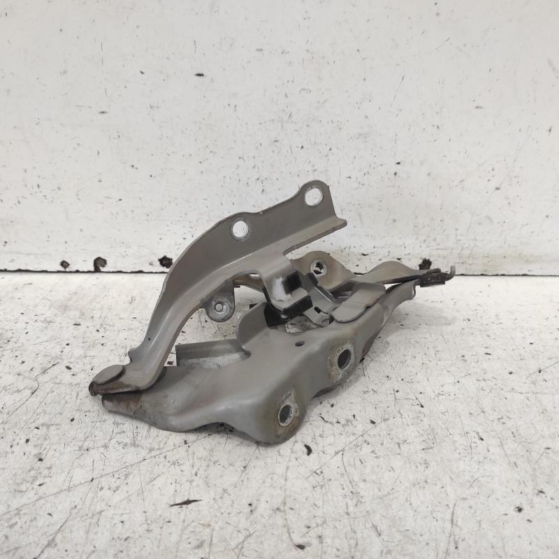 bonnet hinge/strut