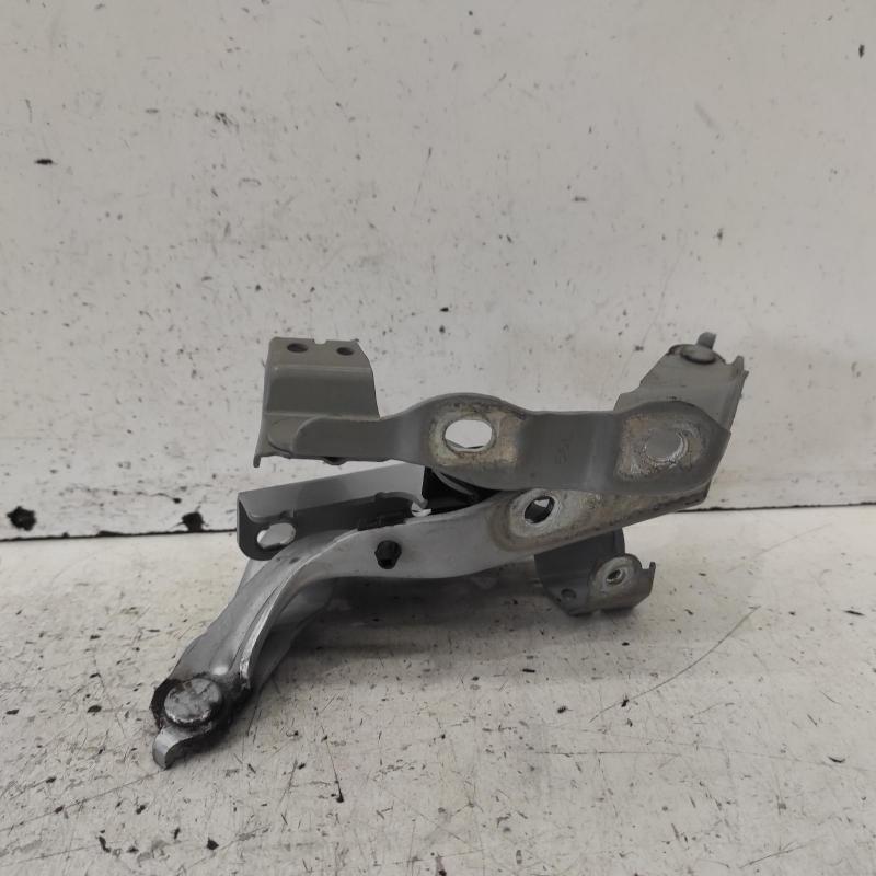 bonnet hinge/strut