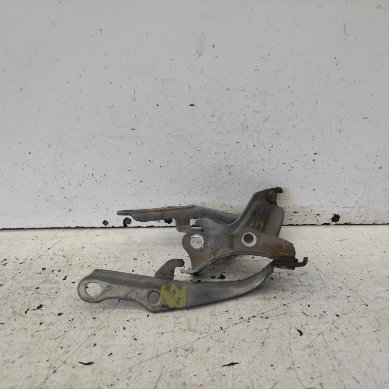 bonnet hinge/strut