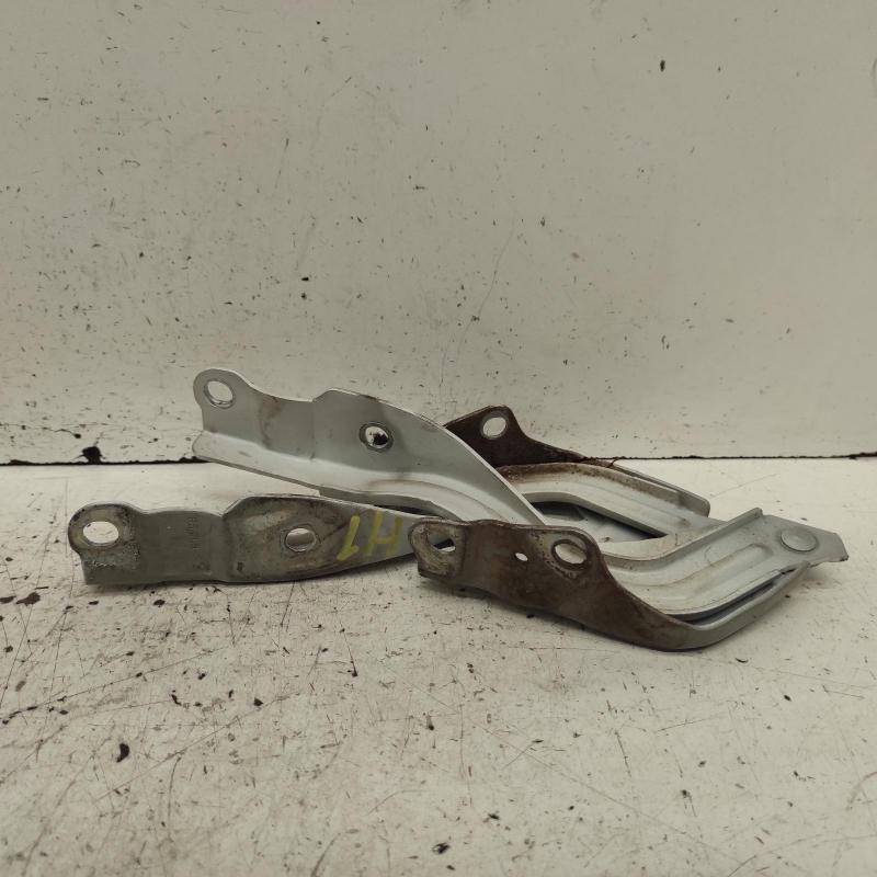 bonnet hinge/strut