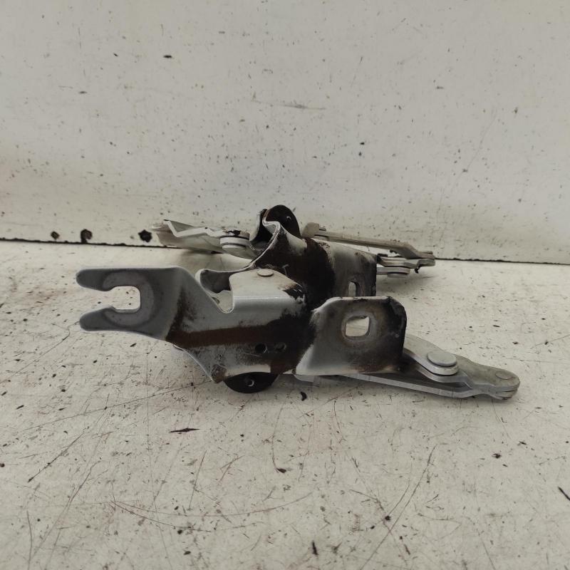 bonnet hinge/strut