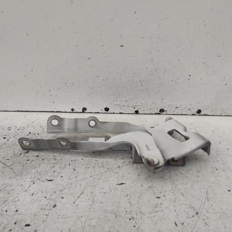 bonnet hinge/strut