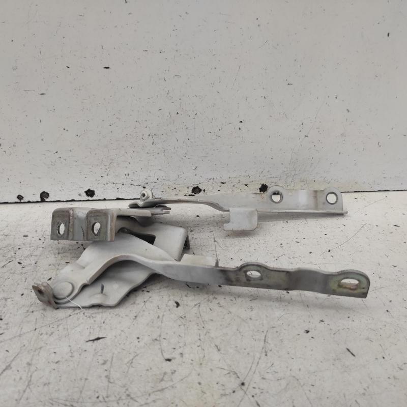 bonnet hinge/strut