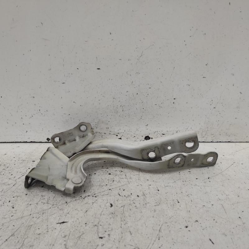 bonnet hinge/strut