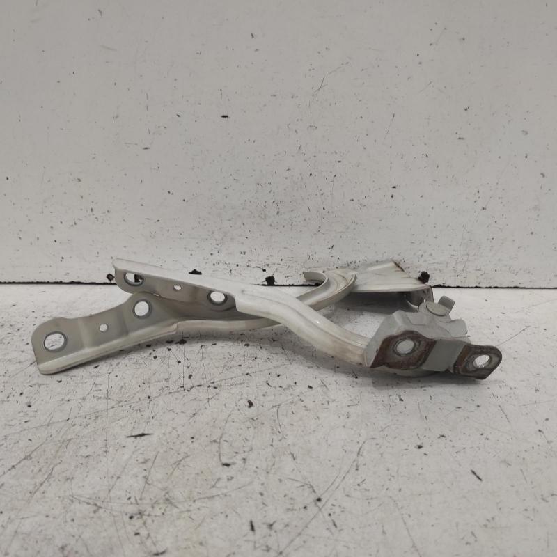 bonnet hinge/strut