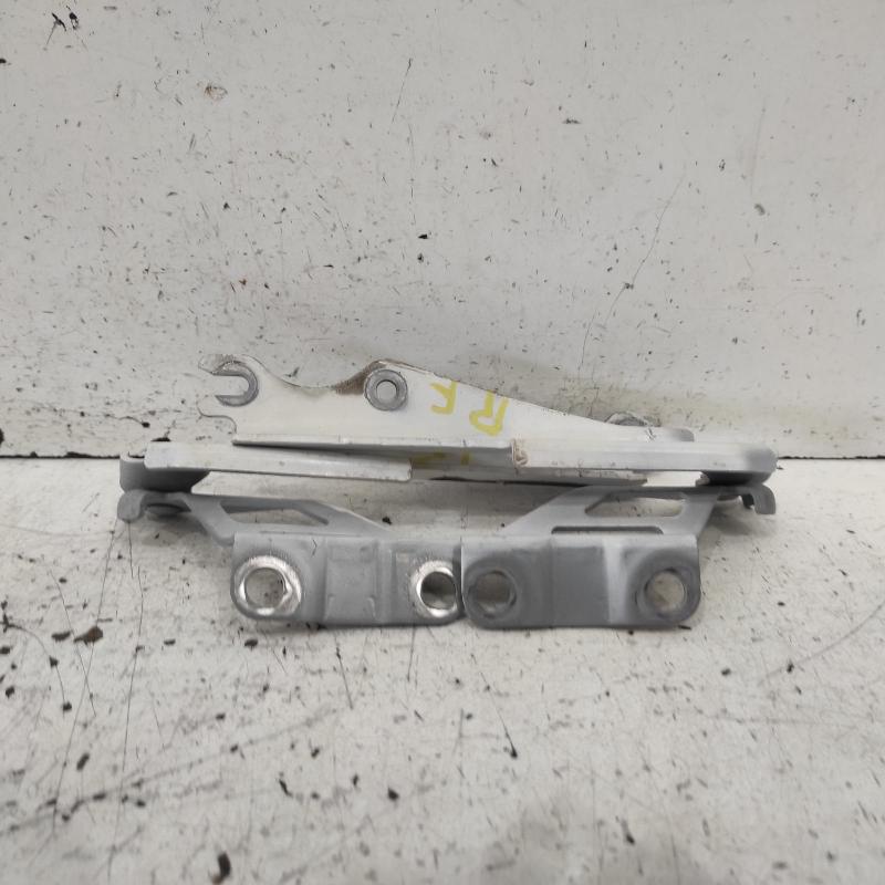 bonnet hinge/strut