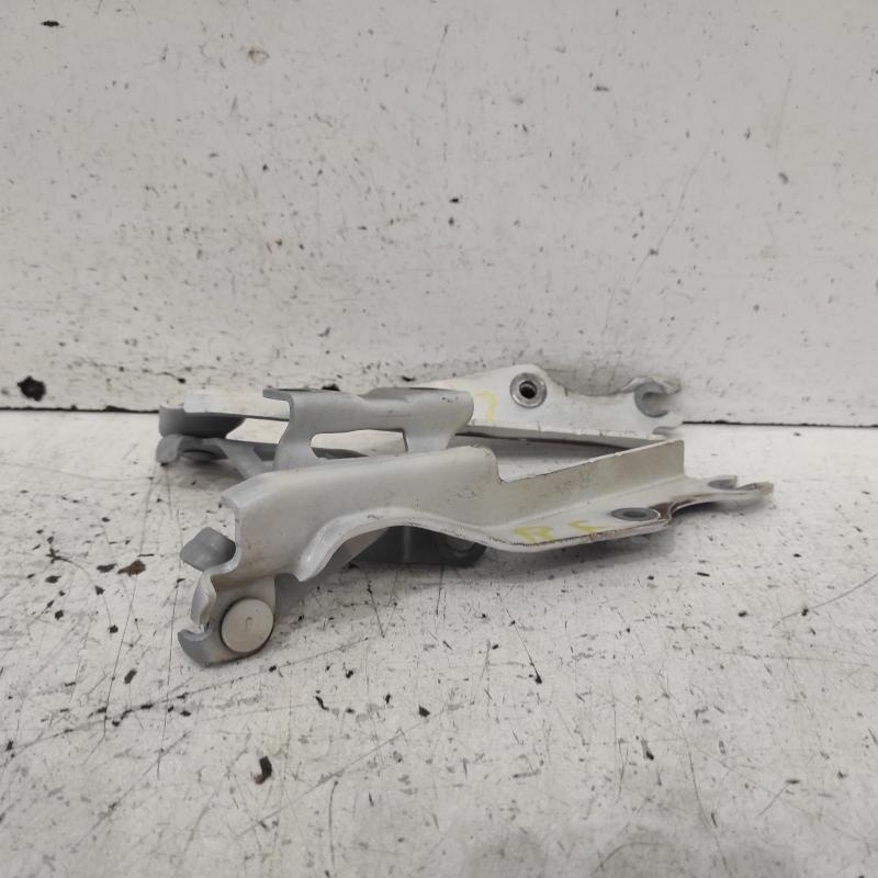bonnet hinge/strut