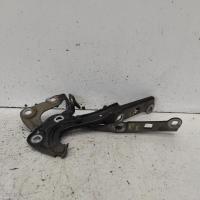 bonnet hinge/strut