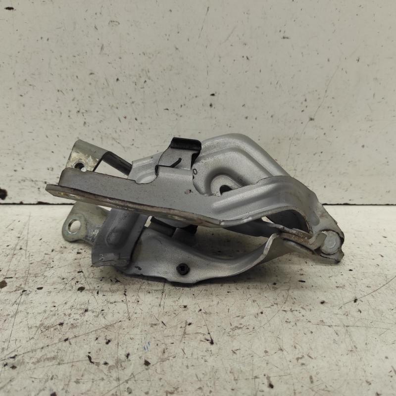 bonnet hinge/strut