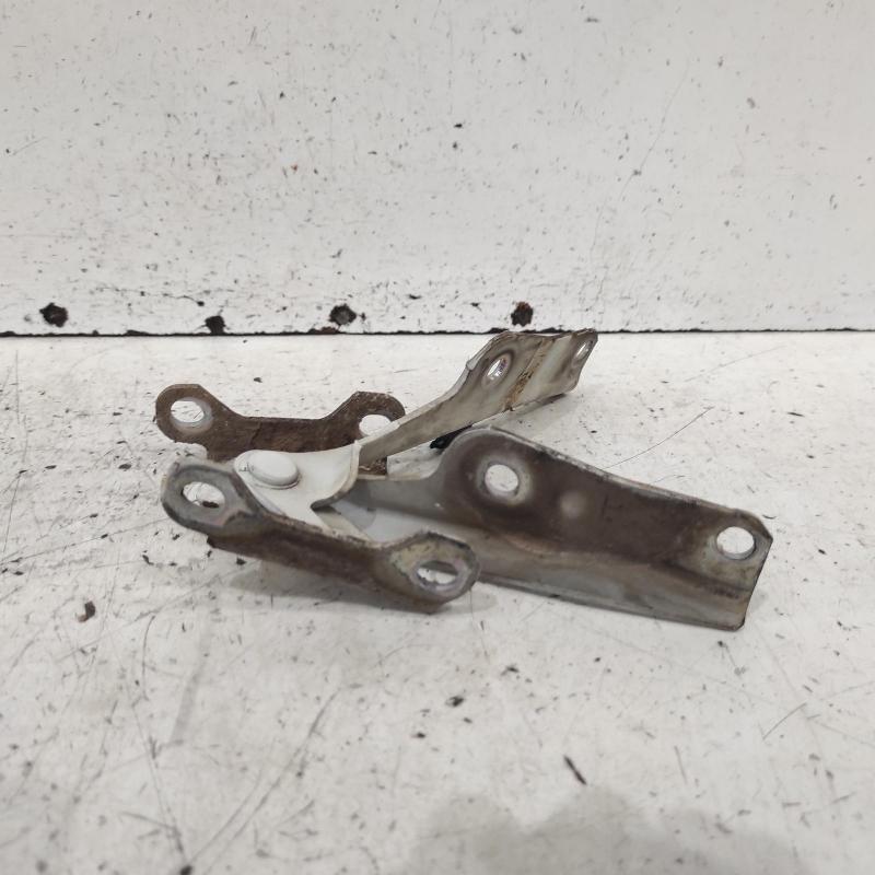 bonnet hinge/strut