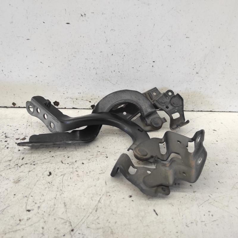 bonnet hinge/strut