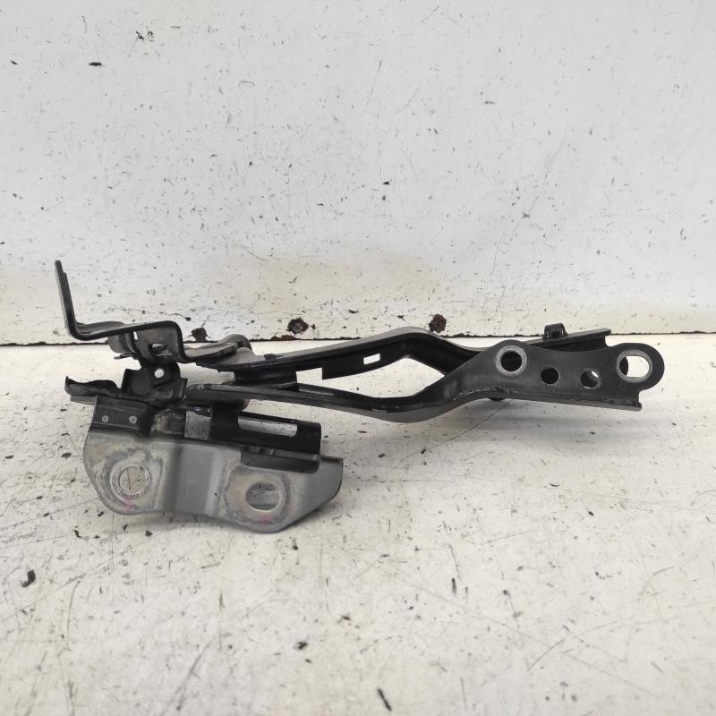 bonnet hinge/strut