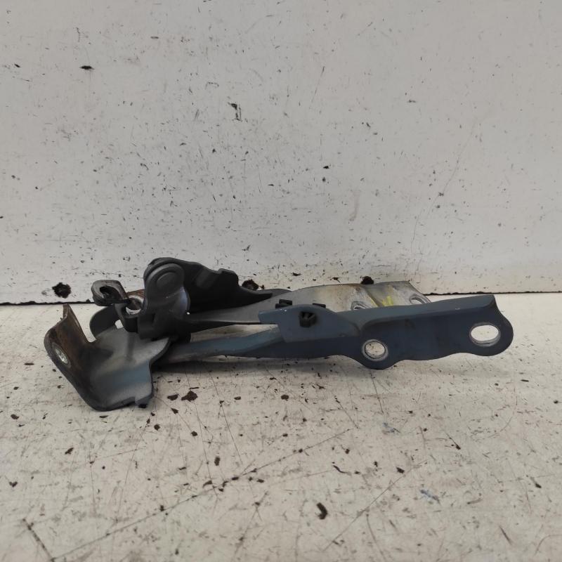 bonnet hinge/strut