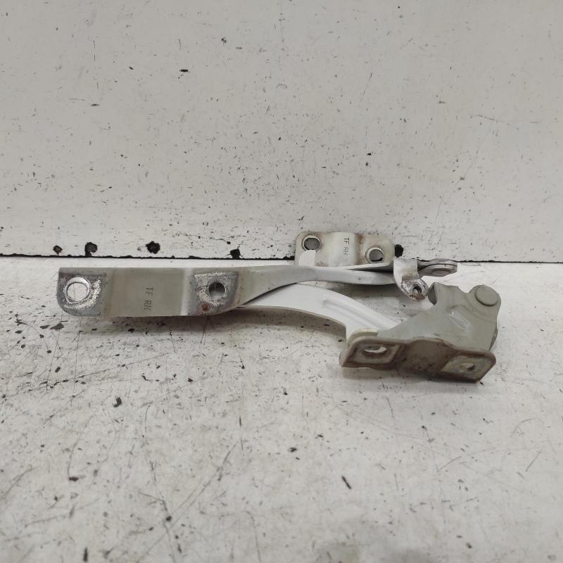 bonnet hinge/strut