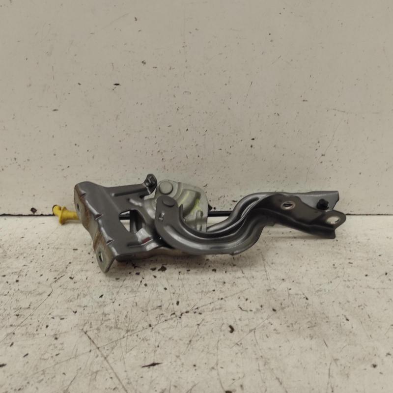 bonnet hinge/strut