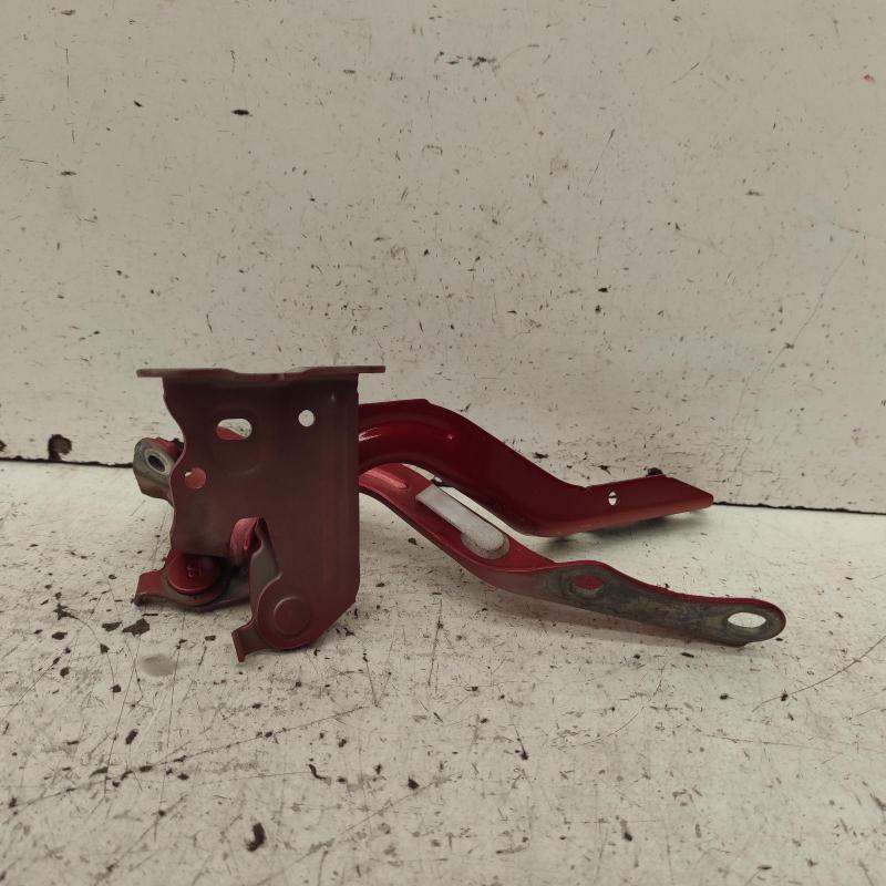 bonnet hinge/strut