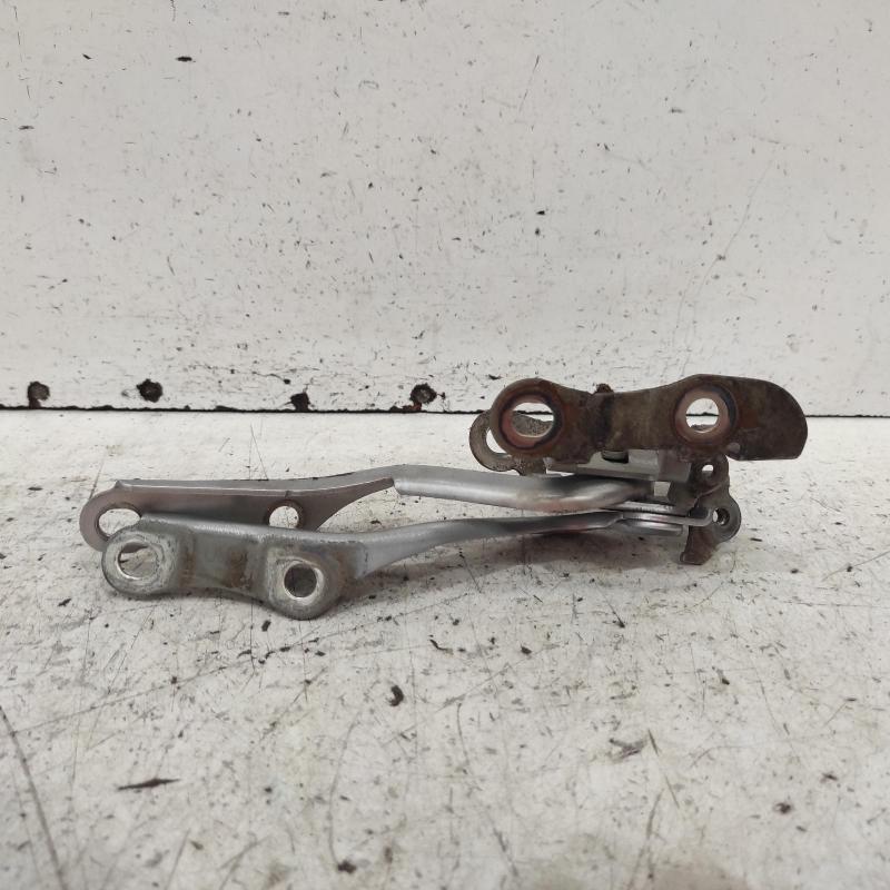 bonnet hinge/strut